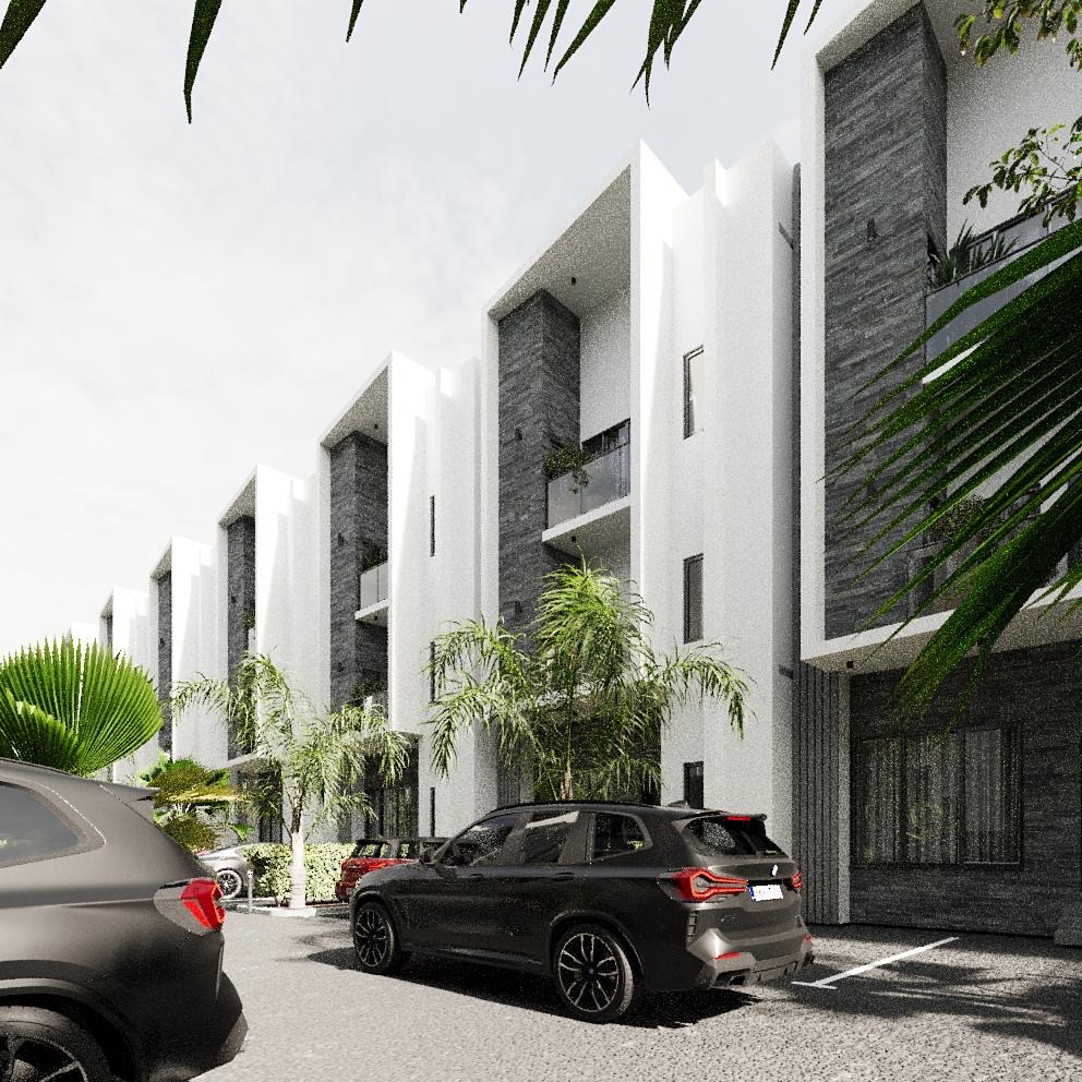 Street view with palms